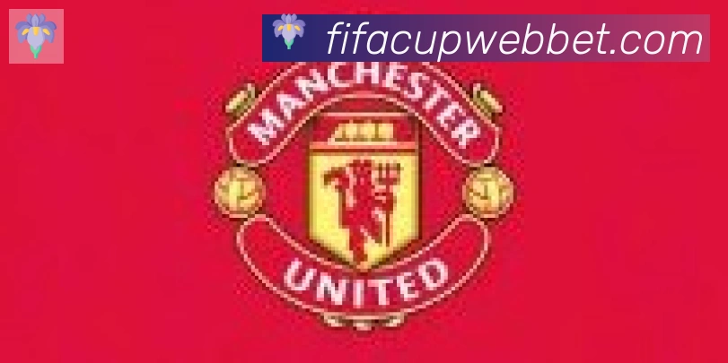 FIFA世界杯下注入口合作伙伴